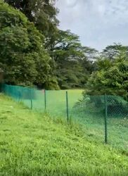 Tanglin Hill (D10), Detached #458917041